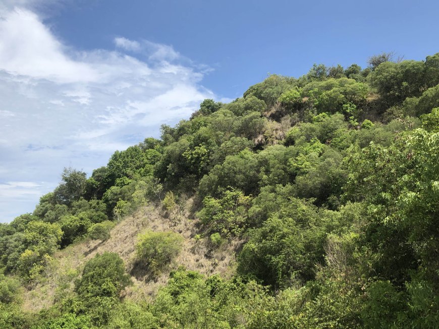 Eksplorasi Bukit Alam dengan Panorama Alam Luar Biasa dan Damai